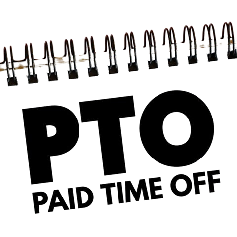 whatsapp image 2025 12 17 at 17.13.25 21a03ddd removebg preview